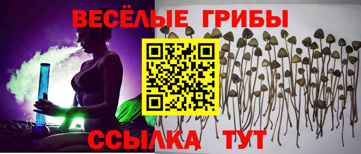 Псилоцибиновые грибы мицелий  Вход с VPN  Кохма 